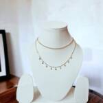 WhatsApp Image 2023-06-13 at 7.39.21 PM