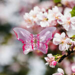 Butterfly hair clip