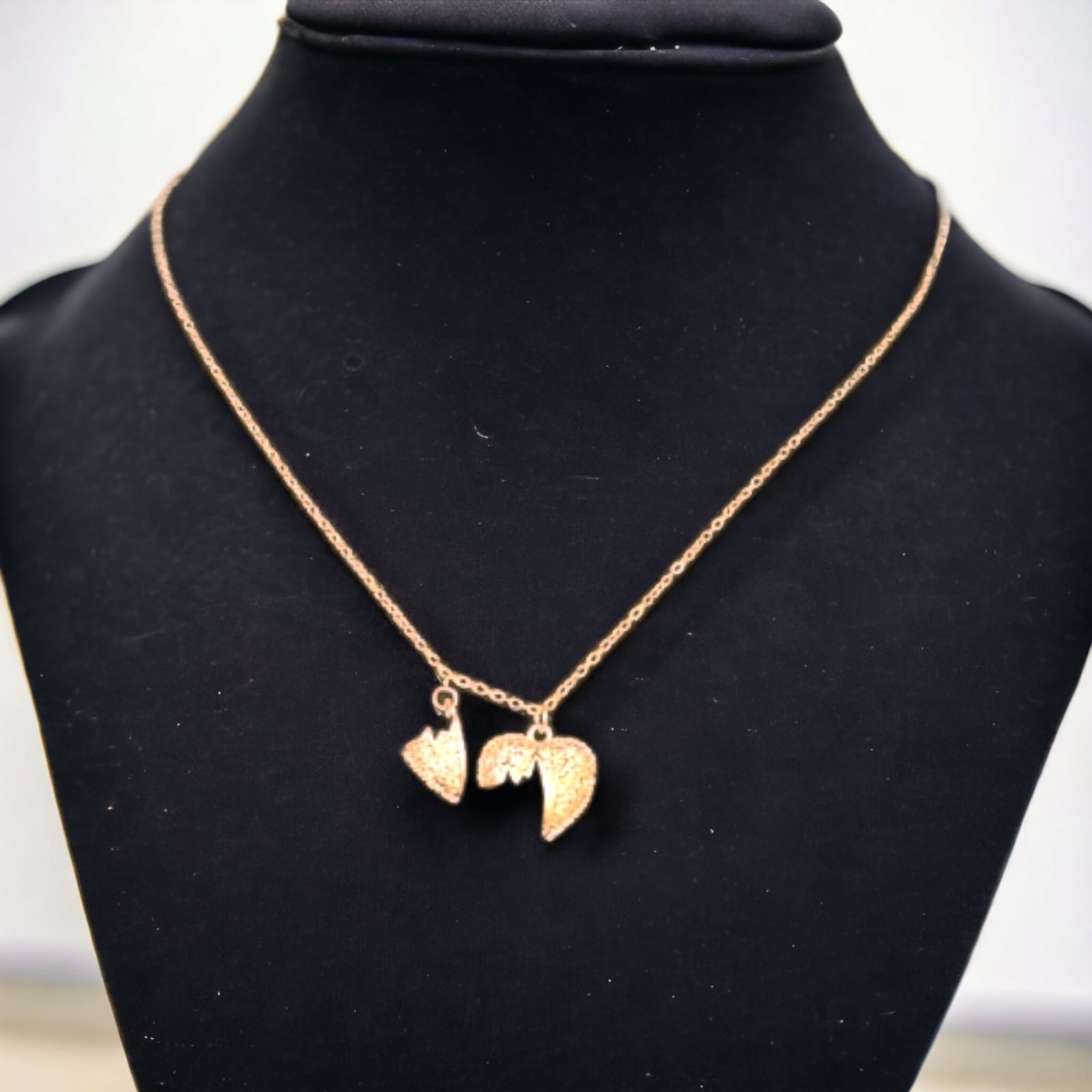 WhatsApp Image 2023-06-12 at 8.27.25 PM