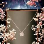 WhatsApp Image 2023-06-13 at 11.56.44 AM