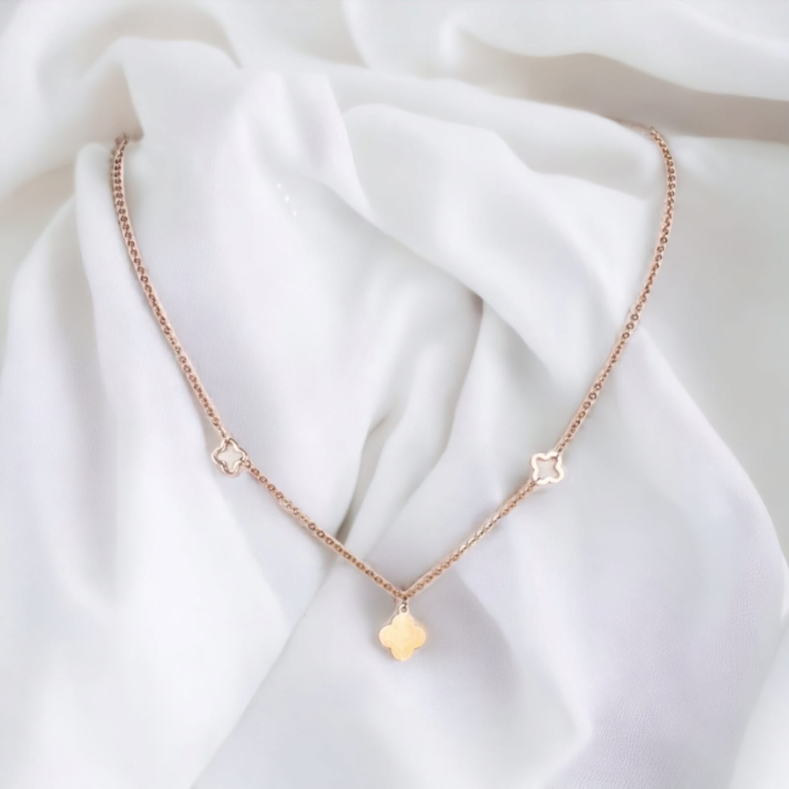 WhatsApp Image 2023-06-13 at 11.57.39 AM