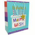 Make a Wish